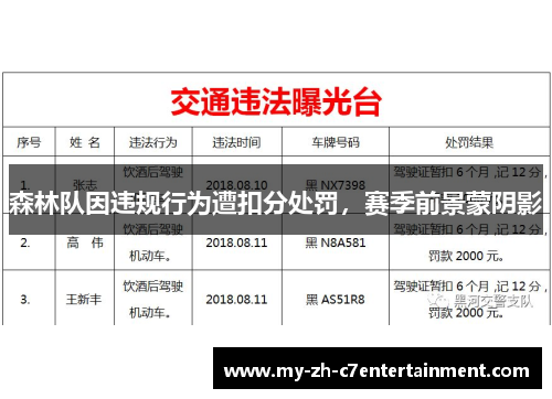 森林队因违规行为遭扣分处罚，赛季前景蒙阴影